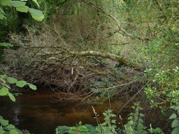 Entretien &raquo; embacle1_Fanquigo