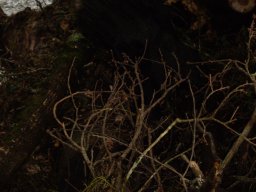 20230722_embacle1_fanquigo10