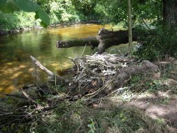 20230722_embacle1_fanquigo11