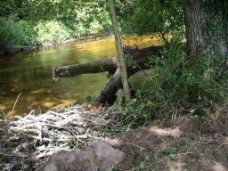 20230722_embacle1_fanquigo12