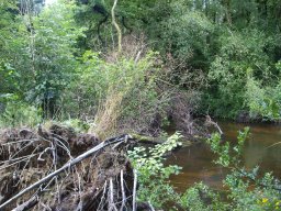 20230722_embacle1_fanquigo2