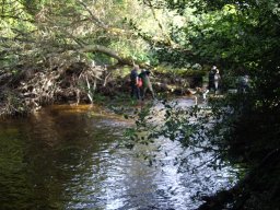 20230722_embacle1_fanquigo3