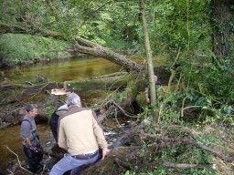 20230722_embacle1_fanquigo6